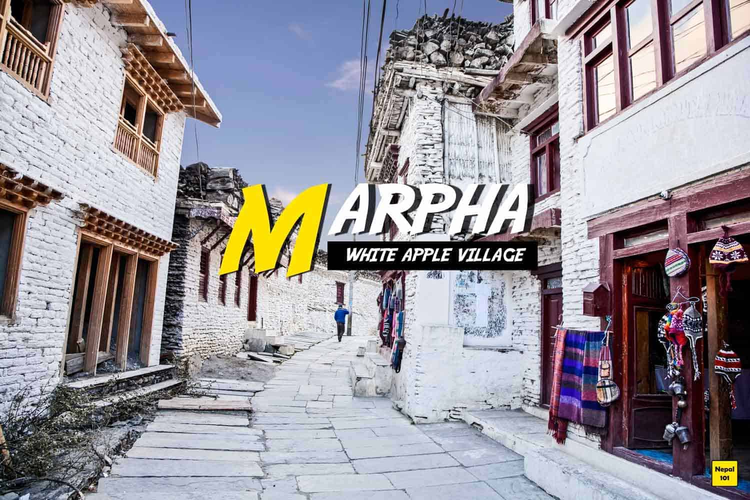Annapurna Circuit Trek Marpha Nepal101