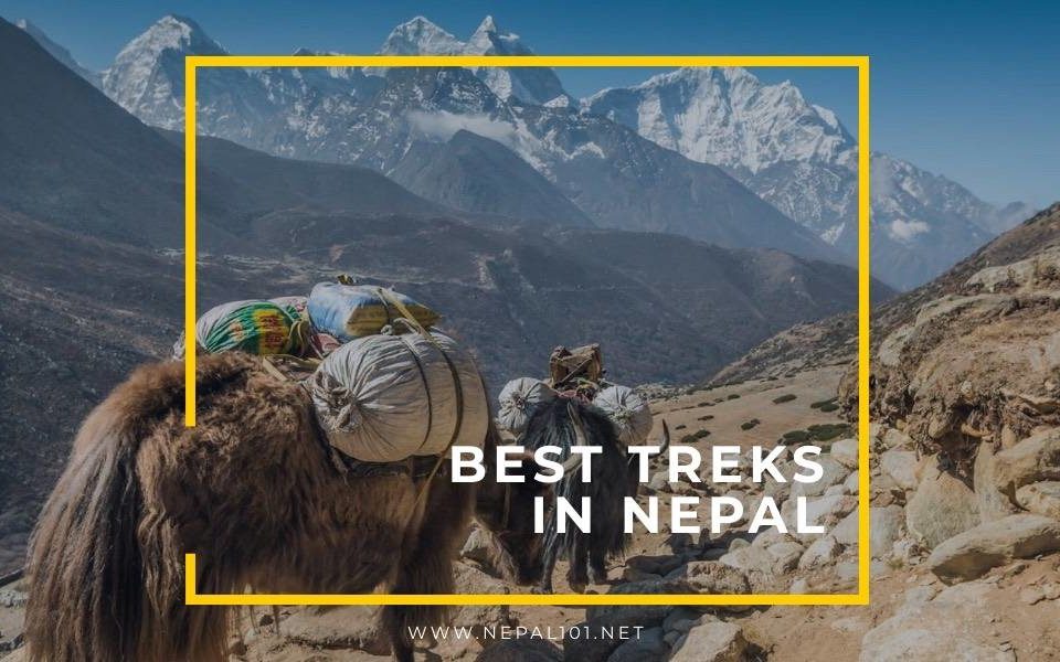 Best Treks in Nepal 2023 – Find out which one is for you?