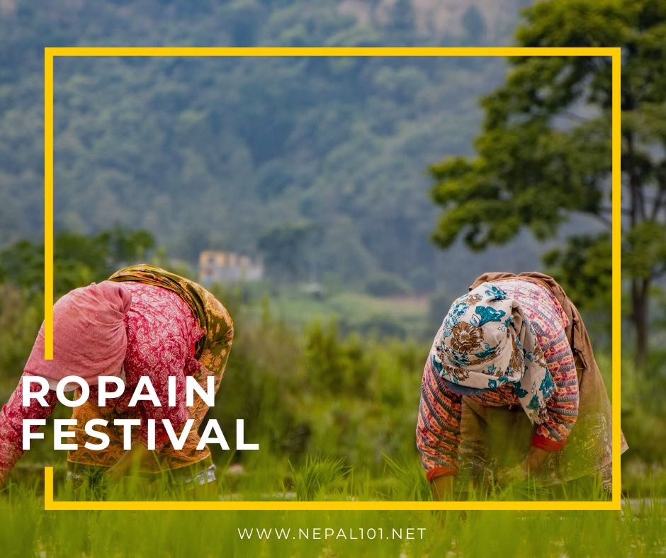 Ropain - Rice Planting Festival Nepal101